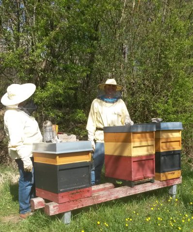 Bienenhaltung